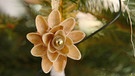 Weihnachtsschmuck aus Pflanzenmaterial  | Bild: BR