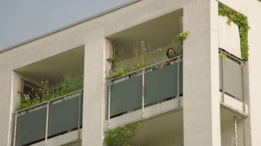 Wilder Meter - ein Naturgarten auf dem Balkon von Katharina Heuberger | Bild: BR