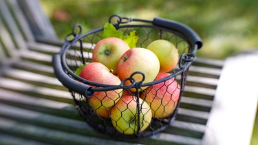In einem Korb liegen schöne, rotbackige Äpfel | Bild: mauritius-images