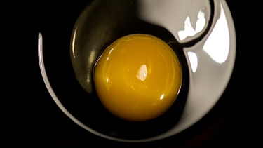 Das Eiweiß und Eigeld sind fest: Das Ei ist frisch. | Bild: picture-alliance/dpa