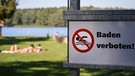 Auf einem Schild am Ufer eines Sees steht "Baden verboten". | Bild: picture-alliance/dpa