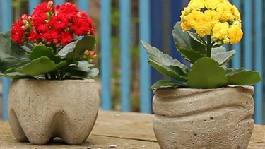 Die fertigen Blumentöpfe aus Beton | Bild: BR