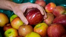 Äpfel - regional oder Übersee | Bild: mauritius-images