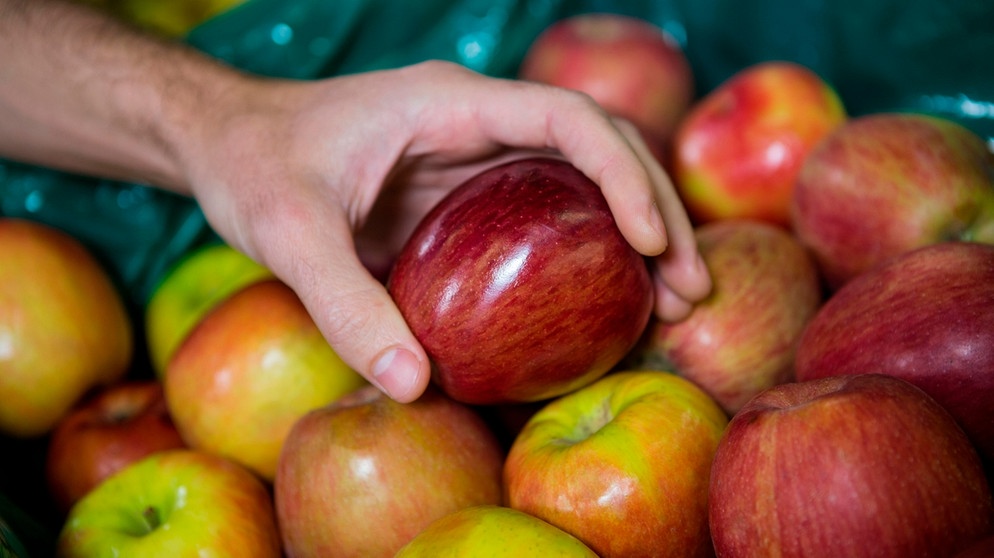 Äpfel - regional oder Übersee | Bild: mauritius-images