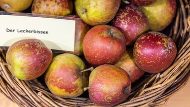 Apfel schneiden | Bild: mauritius images / Arnulf Hettrich / imageBROKER