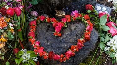 Ein Herz aus Rosen liegt am Stamm eines Baumes nach einer Baumbestattung . | Bild: mauritius images