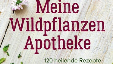 Meine Wildpflanzen-Apotheke von Karin Greiner | Bild: Ulmer Verlag