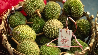 Durian oder Stinkfrüchte liegen in einer Schale | Bild: mauritius images