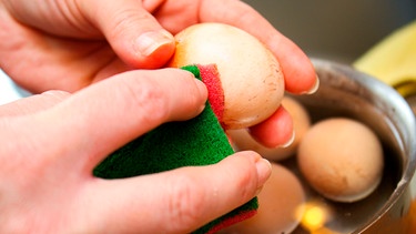 Frau putzt rohe Eier mit einem Schwamm | Bild: mauritius-images