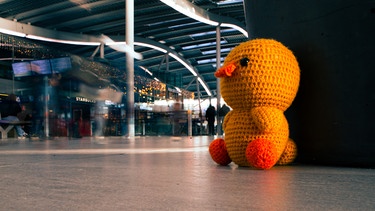 Eddie, die Ente auf einem Bahnhof - Bild der Aktion der Niederländsichen Bahn "Woche der verlorenen Kuscheltiere" | Bild: Nederlandse Spoorwegen