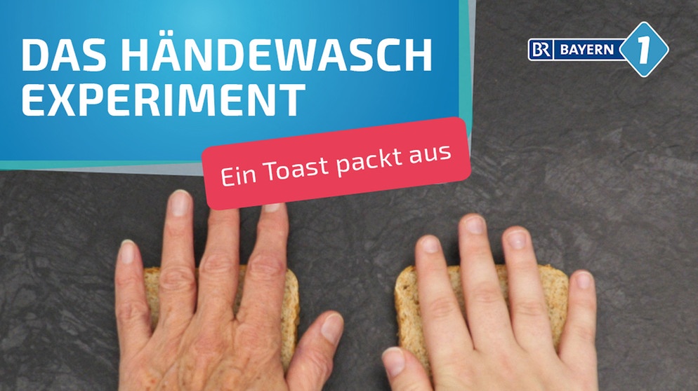 Warum man Lebensmittel, wie Toast, nur mit sauberen Händen anfassen sollte, zeigt dieses Experiment deutlich. | Bild: BR
