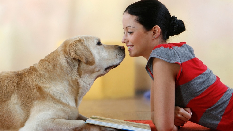 Machen hund und liebe frau Besondere Beziehung: