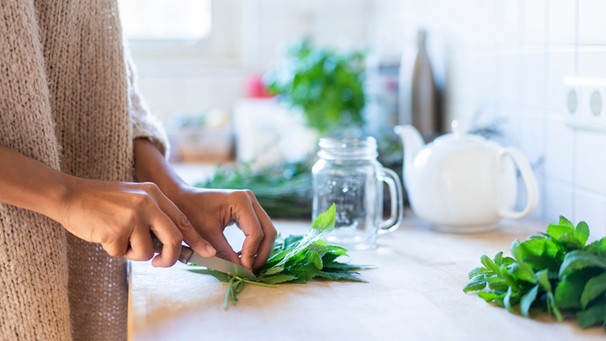 Frau schneidet Giersch für einen Salat und einen Tee | Bild: mauritius images
