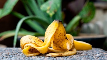 Eine Bananenschale liegt vor einer Grünpflanze | Bild: mauritius images