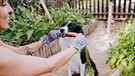 Frau gibt im Garten ihrem Hund eine Karotte | Bild: mauritius images