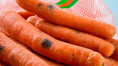 Karotten mit Schimmel | Bild: mauritius images / Zoonar GmbH / Alamy / Alamy Stock Photos