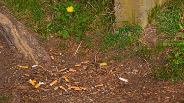 Zigarettenstummel wegwerfen | Bild: mauritius-images