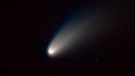 Ein Komet ist am Sternenhimmel zu sehen - Symbolbild | Bild: picture alliance / imageBROKER | Wothe, K.