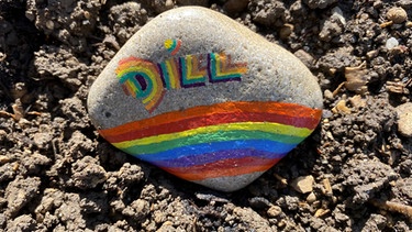 Ein bemalter Stein mit der Aufschrift "Dill" liegt in einem Beet | Bild: Astrid Hickisch, BR