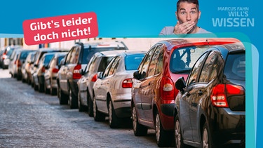 Es gibt leider niemanden in Bayern, der sein geparktes Auto erst nach Jahren wiedergefunden hat. | Bild: BR/ iStock_bruev