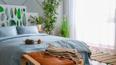 Ein Schlafzimmer mit Pflanzen | Bild: mauritius images / Pixel-shot / Alamy / Alamy Stock Photos
