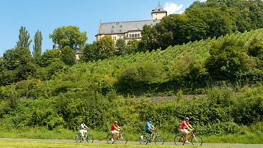Radeln auf dem MainRadweg vor Schloss Mainberg | Bild: Fränkisches Weinland Tourismus, Schweinfort 360°, Andreas Hub