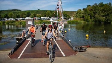 Radfahrer auf der Mainfähre bei Nordheim am Main | Bild: Fränkisches Weinland Tourismus, Holger Leue