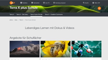 Screenshot der Startseite von Terra X plus Schule des ZDF | Bild: ZDF