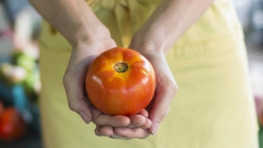 Tomaten | Bild: mauritius-images