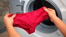 Frau hält Slip in der Hand, um sie in die Waschmaschine zu geben | Bild: mauritius images