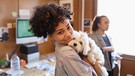 Eine junge Frau mit einem weißen, kleinen  Hund im Büro | Bild: mauritius-images