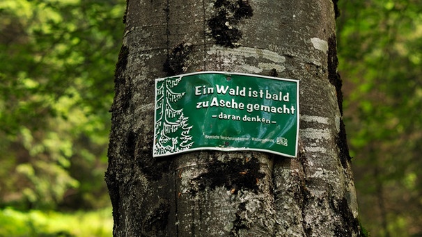 Waldbrandgefahr in Bayern | Bild: mauritius-images