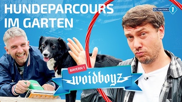 Woidboyz Episode Hundparcours | Bild: BR