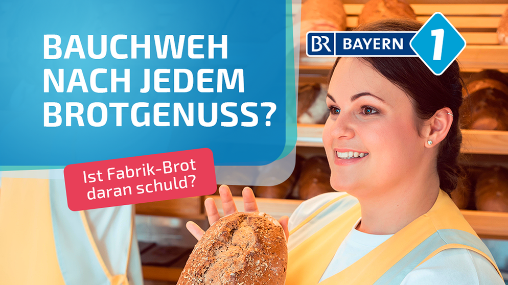 Warum wir Brot beim Bäcker kaufen sollten | Bild: mauritius images, Montage: BR
