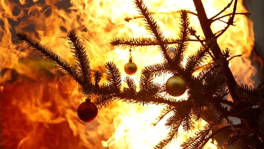 Christbaum in Flammen: Zum Glück nur eine Übung der Feuerwehr. | Bild: picture-alliance/dpa, Roland Weihrauch