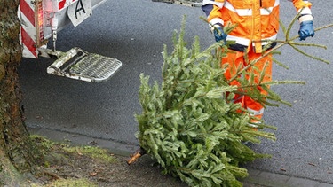 Christbaum wird von Müllabfuhr entsorgt. | Bild: mauritius-images