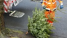 Christbaum wird von Müllabfuhr entsorgt. | Bild: mauritius images / Werner Otto