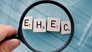 Scrabblesteine mit den Buchstaben E, H, E und C liegen nebeneinander. | Bild: picture-alliance/dpa