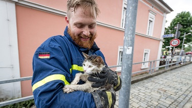 THW-Mitarbeiter hält eine Katze im Arm, die in Simbach aus dem Wasser gerettet wurde | Bild: THW