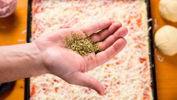 Getrockneter Oregano liegt in einer Hand, darunter ein Blech mit Pizza | Bild: mauritius images Aleksandar Tomic