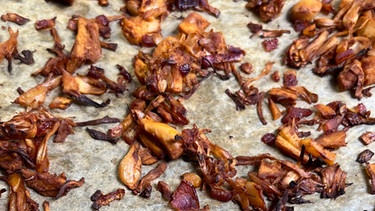 Gezupfte Jackfruit liegt auf einem Blech, nachdem die Stückchen erst angeschmort und dann im Ofen geröstet wurden | Bild: BR, Andreas Weindl