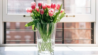 Auf einem Fensterbrett stehen Tulpen in einer gläsernen Vase | Bild: mauritius-images
