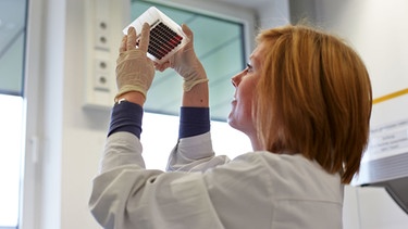 Eine Blutprobe wird im Labor der DKMS bearbeitet. | Bild: DKMS