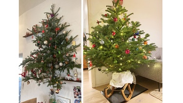 Ein hängender Weihnachtsbaum und einer auf einem Schlitten | Bild: privat/BR