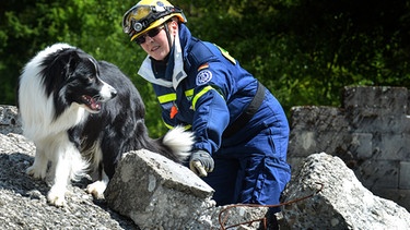Hundeführer und Rettungshund des Technischen Hilfswerks bei einer Übung | Bild: THW