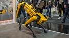 Roboter Hund Spot von Boston Dynamics, kann mit den unterschiedlichsten Geräten ausgestattet werden, z.B. zur Inspektion in Räumen, hier auf der Hannover Messe 2022 | Bild: dpa picture alliance
