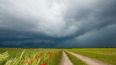 Über einem Feld ziehen dunkle Wolken auf, die ein Gewitter ankündigen. | Bild: picture-alliance/dpa