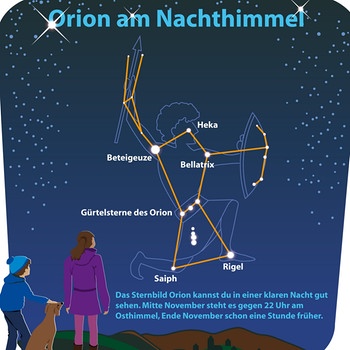 Grafik des Sternenbilds Orion | Bild: picture-alliance/dpa