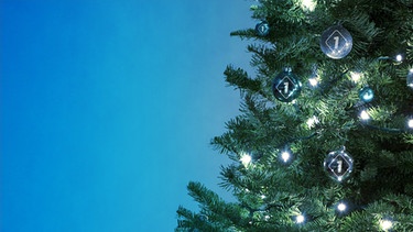 Weihnachtsbaum | Bild: BR