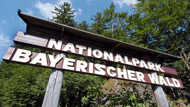 Nationalpark Bayerischer Wald | Bild: picture-alliance/dpa